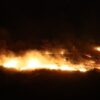 Temperaturat e larta, zjarre shpërthejnë në Anglinë veriore