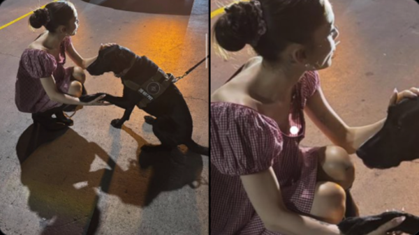 Këngëtarja e famshme poston një foto, fansat vënë re detajin e nxehtë