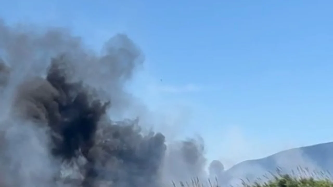 Zjarr pranë fushës së druve në Vlorë, alarmohen banorët