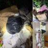 Kapet afro 18 kilogramë marihuanë në Kaçanik, arrestohen dy shtetas të huaj