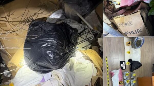 Kapet afro 18 kilogramë marihuanë në Kaçanik, arrestohen dy shtetas të huaj