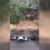 Një pjesë e Evropës ‘digjet’ nga i nxehti, breshëri godet Romën