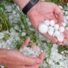 Bujqit në Lipjan dyfish të goditur: Breshëri u shkatërron prodhimet, kompensimi për 2023 mungon (VIDEO)