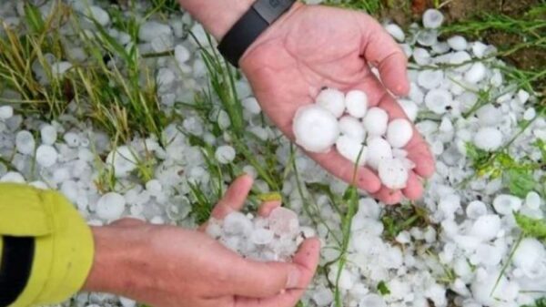 Bujqit në Lipjan dyfish të goditur: Breshëri u shkatërron prodhimet, kompensimi për 2023 mungon (VIDEO)