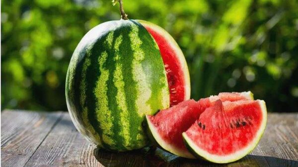 Hani ‘bostan’ nëse doni të rrisni dëshirën për seks
