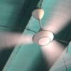 Tragjedi në spital: Pacienti humb jetën pasi mbi të ra ventilatori