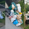 Qytetarja denoncon grumbullimin e mbeturinave në Podujevë: Tri javë pa i larguar (FOTO)