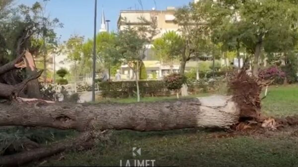 Dy të vdekur nga stuhia në Shqipëri (VIDEO)