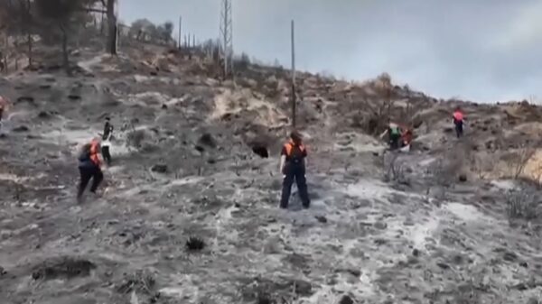 Pamje apokaliptike nga Spanja, pasojat e zjarrit që la 12 të vdekur e shkrumboi zona të tëra