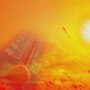 “Përvëlohet” Shqipëria, temperatura deri në 40 gradë Celcius