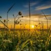 Mot i nxehtë gjatë javës, temperaturat arrijnë deri në 36°C