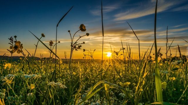 Mot i nxehtë gjatë javës, temperaturat arrijnë deri në 36°C