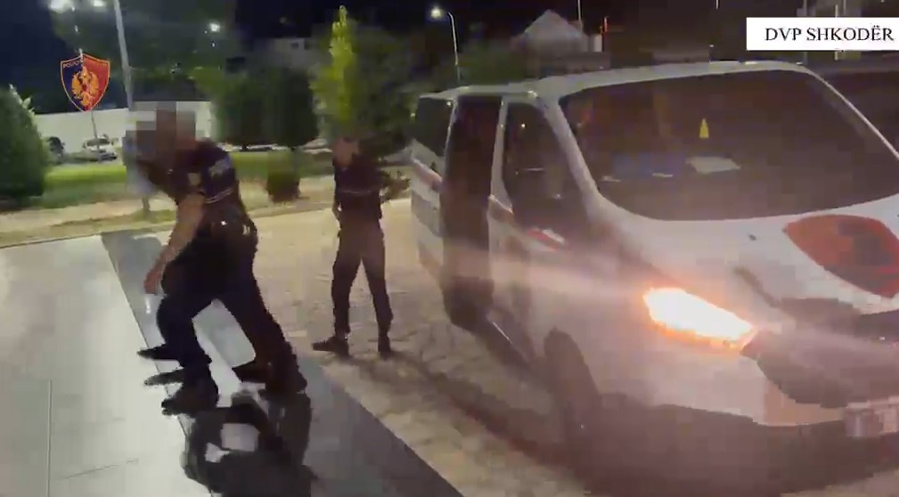 Arrestohen dy të rinj në Shkodër, po transportonin me furgon 2 mijë e 500 fidanë kanabisi