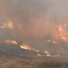 33 vatra zjarri në Shqipëri gjatë 24 orëve, 8 ende aktive