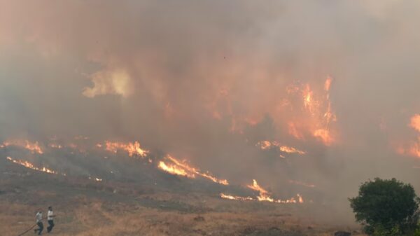 33 vatra zjarri në Shqipëri gjatë 24 orëve, 8 ende aktive