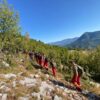Shqipëri: 14 vatra zjarri në 12 orët e fundit, pesë vijojnë të jenë aktive
