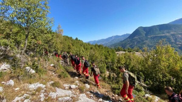 Shqipëri: 14 vatra zjarri në 12 orët e fundit, pesë vijojnë të jenë aktive