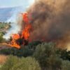 Tri vatra zjarri në Gramsh, zjarrfikësit ndërhyjnë në terrene të vështira