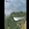 Zjarret në Shqipëri, Nufi: 50 efektivë dhe 2 helikopterë në Dajt