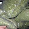 Kapen mbi një kilogram marihuanë në dy vila në Brezovicë, arrestohet 27-vjeçari
