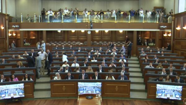 Nisin punimet, vazhdon seanca konstituive