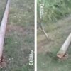 Taraxha prej 27 vitesh me shtylla të vjetra, banori: 62 kërkesa dhe asnjë intervenim