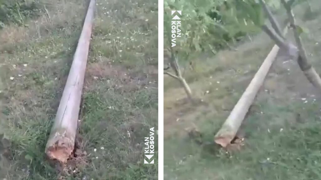 Taraxha prej 27 vitesh me shtylla të vjetra, banori: 62 kërkesa dhe asnjë intervenim