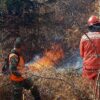 Për 24 orë: 35 vatra zjarri në Shqipëri, pesë mbeten ende aktive