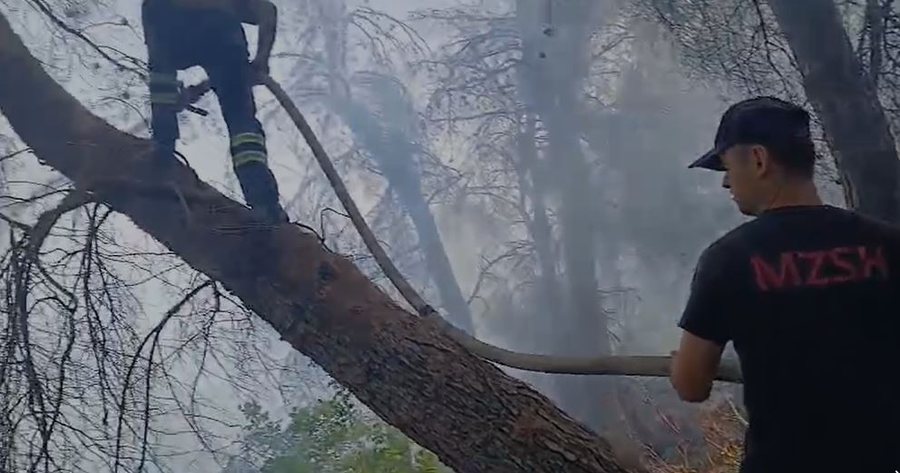 Pas disa ditësh betejë me flakët, fiken zjarret në Mallakastër