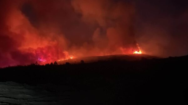 Situatë e rëndë me zjarret në rrethinat e Tiranës, flakët u afrohen banesave