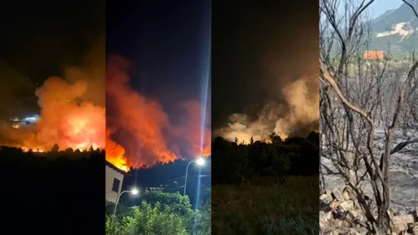 Zjarri në Krujë, prokuroria urdhëron lirimin e të moshuarit: Nuk ka asnjë provë